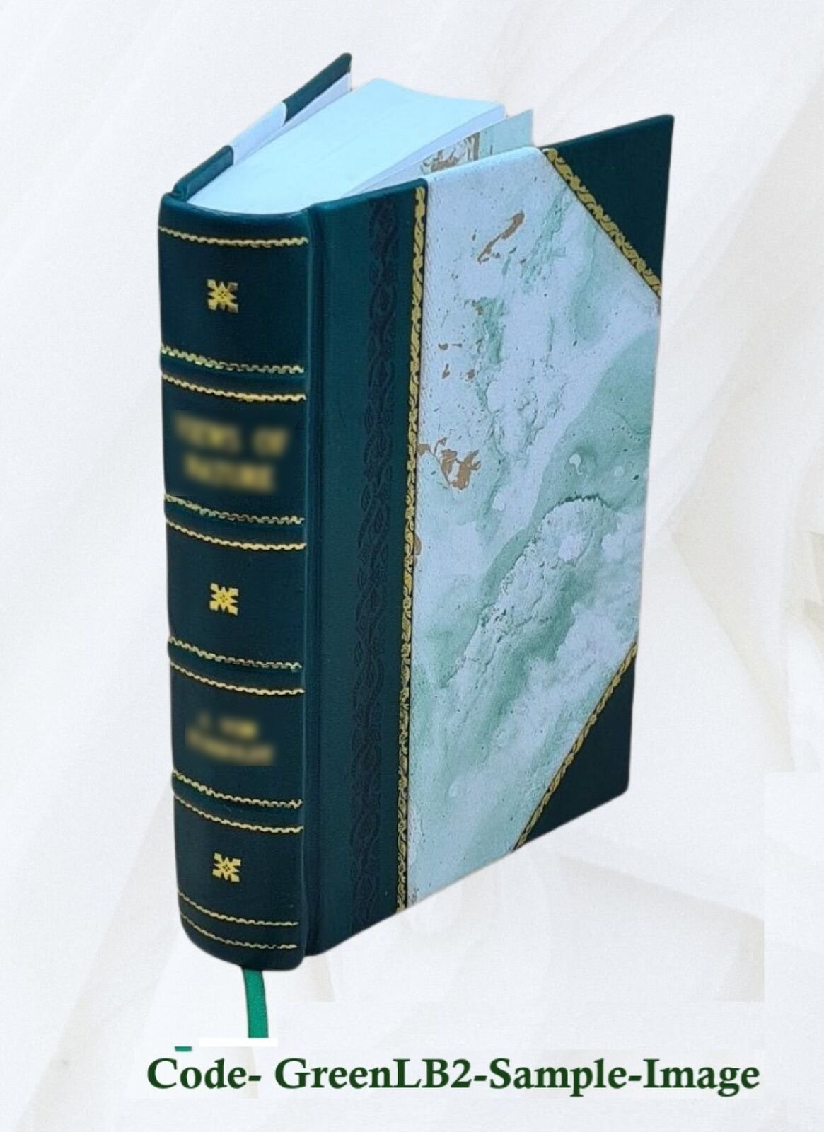 Enigmas Of Life. With A Prefatory Memoir 1891 [Leather Bound]