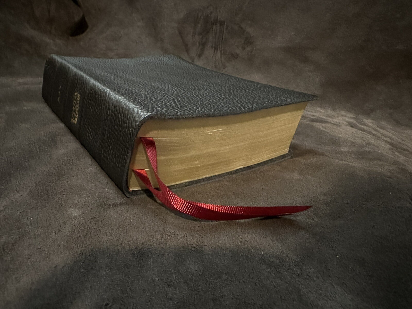 KJV KING JAMES study bible genuine leather