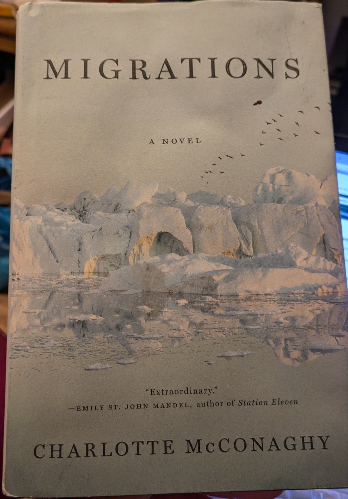 Migrations : A Novel by Charlotte McConaghy (2020, Hardcover)