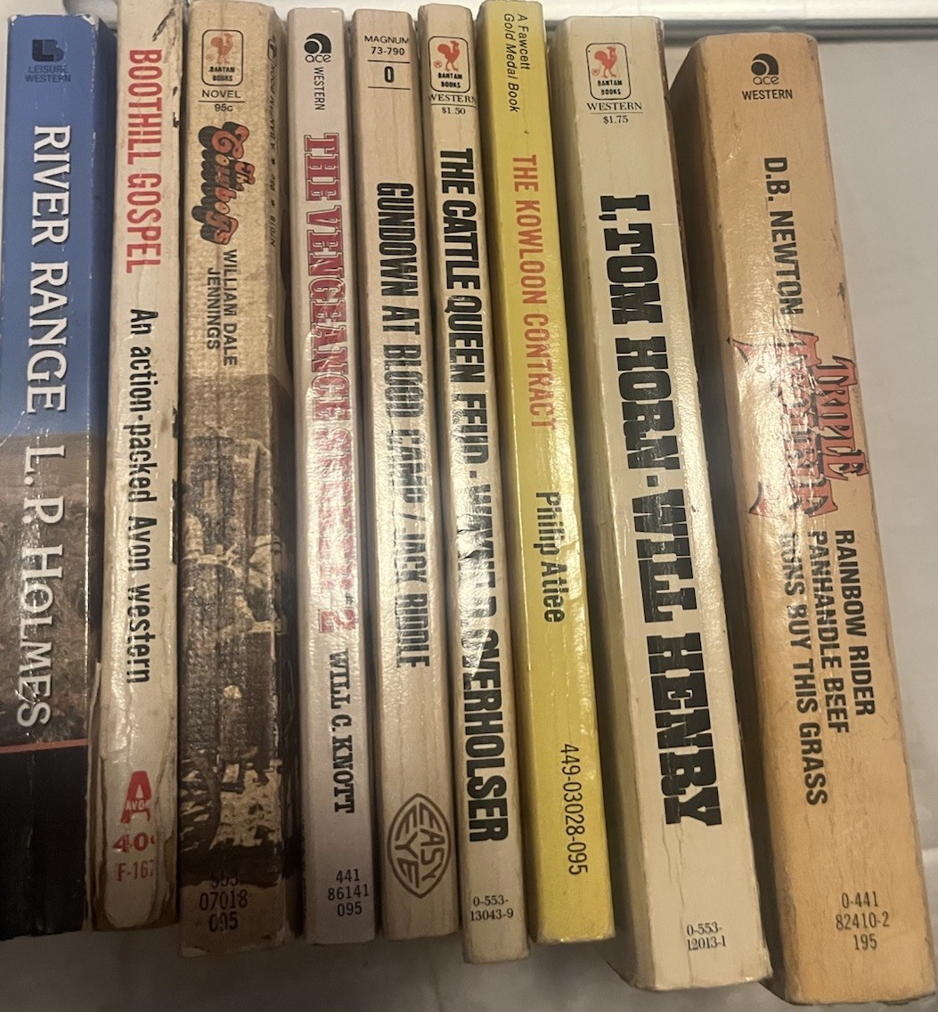 Lot Of 10 Vintage Western Paperback Books (See Photos For Titles) S30