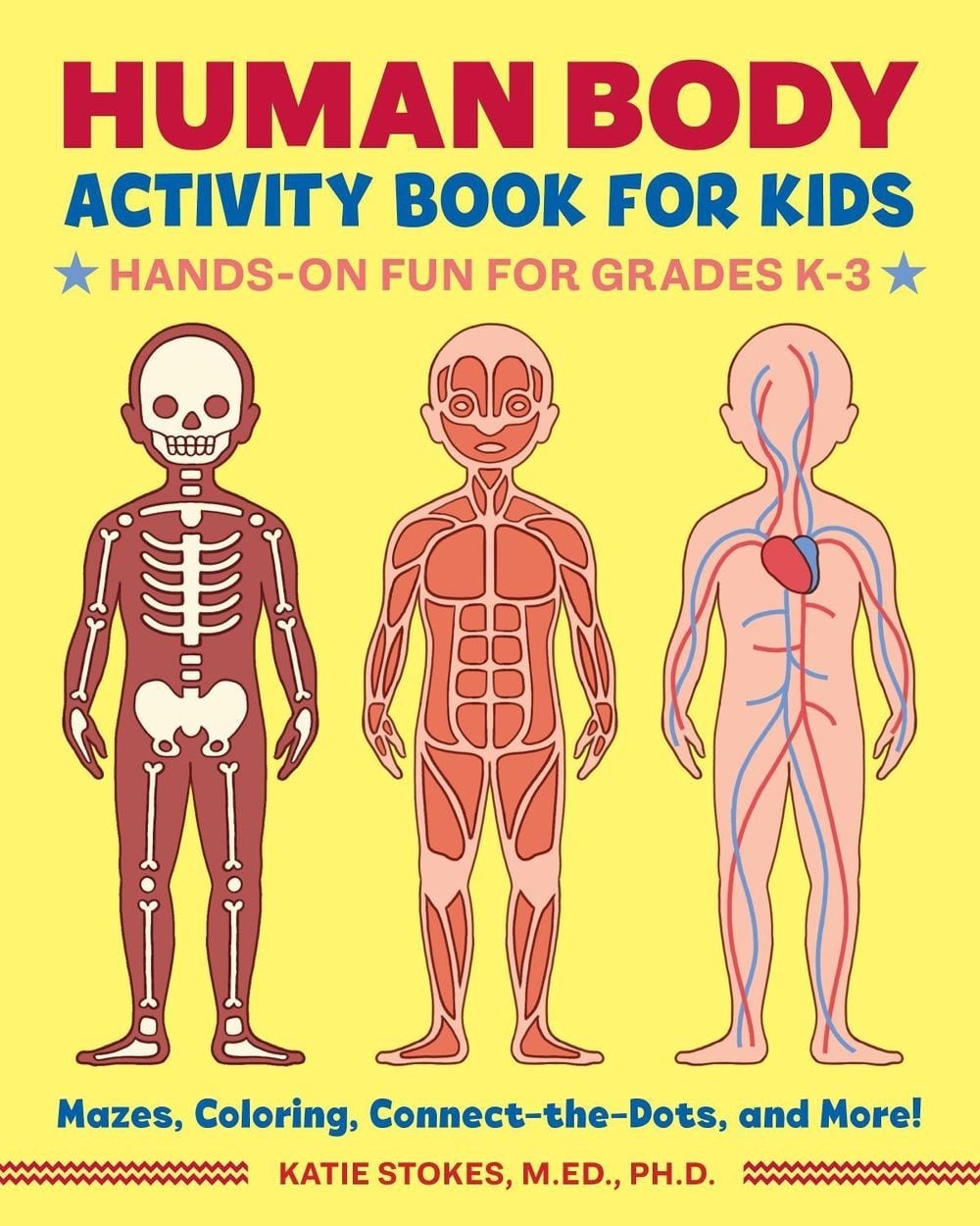 Human Body Activity Book for Kids: Hands-On Fun for Grades K-3 by Katie Stokes (