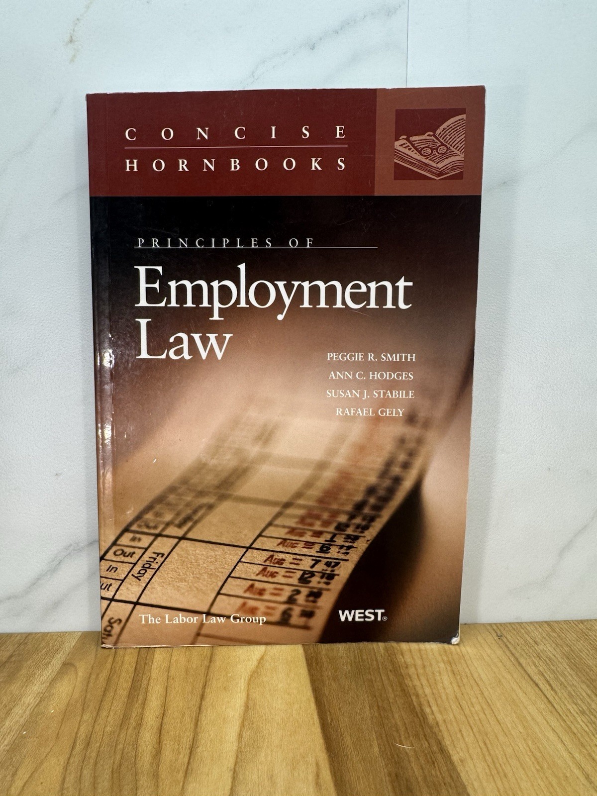 Principles of Employment Law (Concise Hornbook Series) – Paperback – GOOD