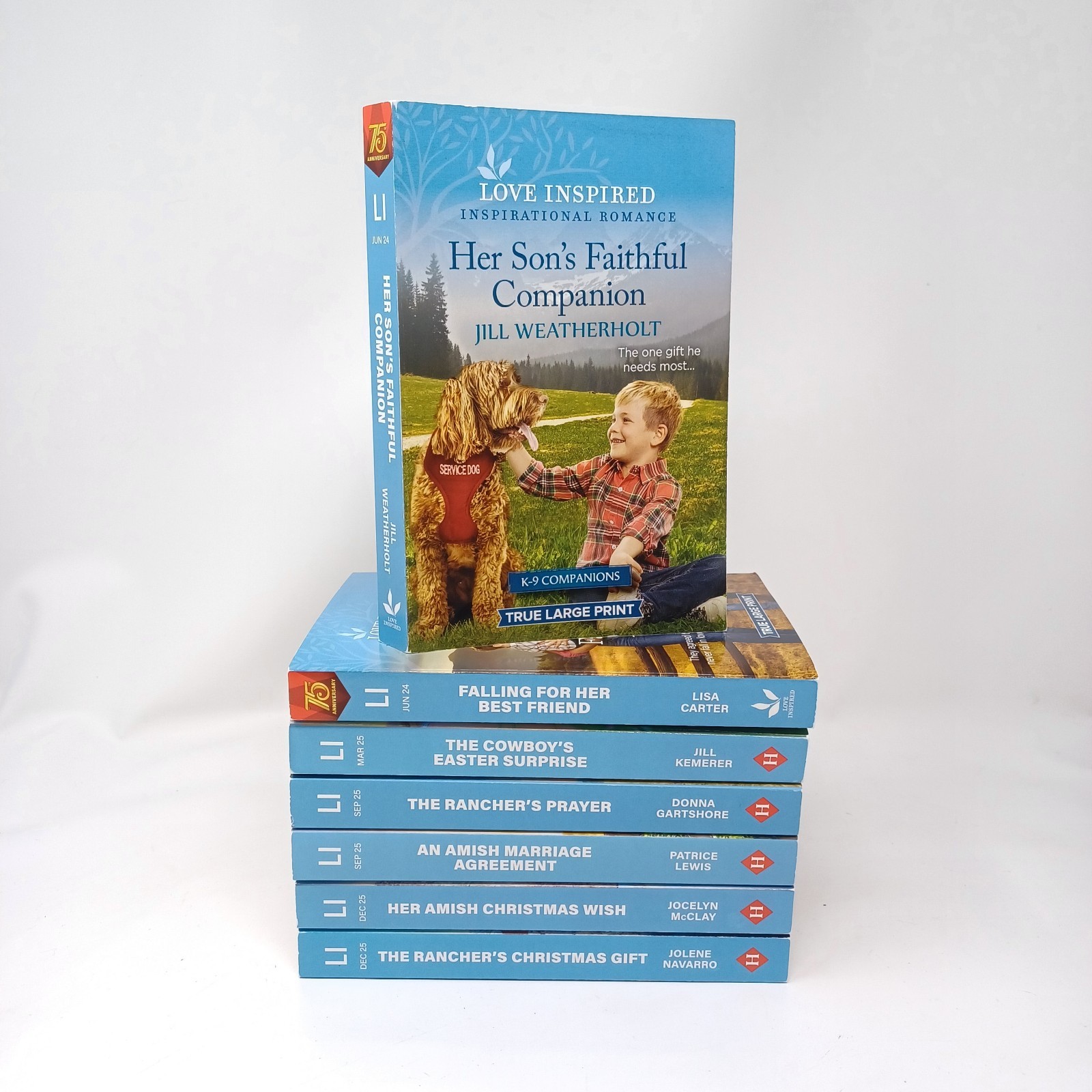 Love Inspired Lot of 7 TRUE LARGE PRINT Romance Paperbacks 2024 – 2025