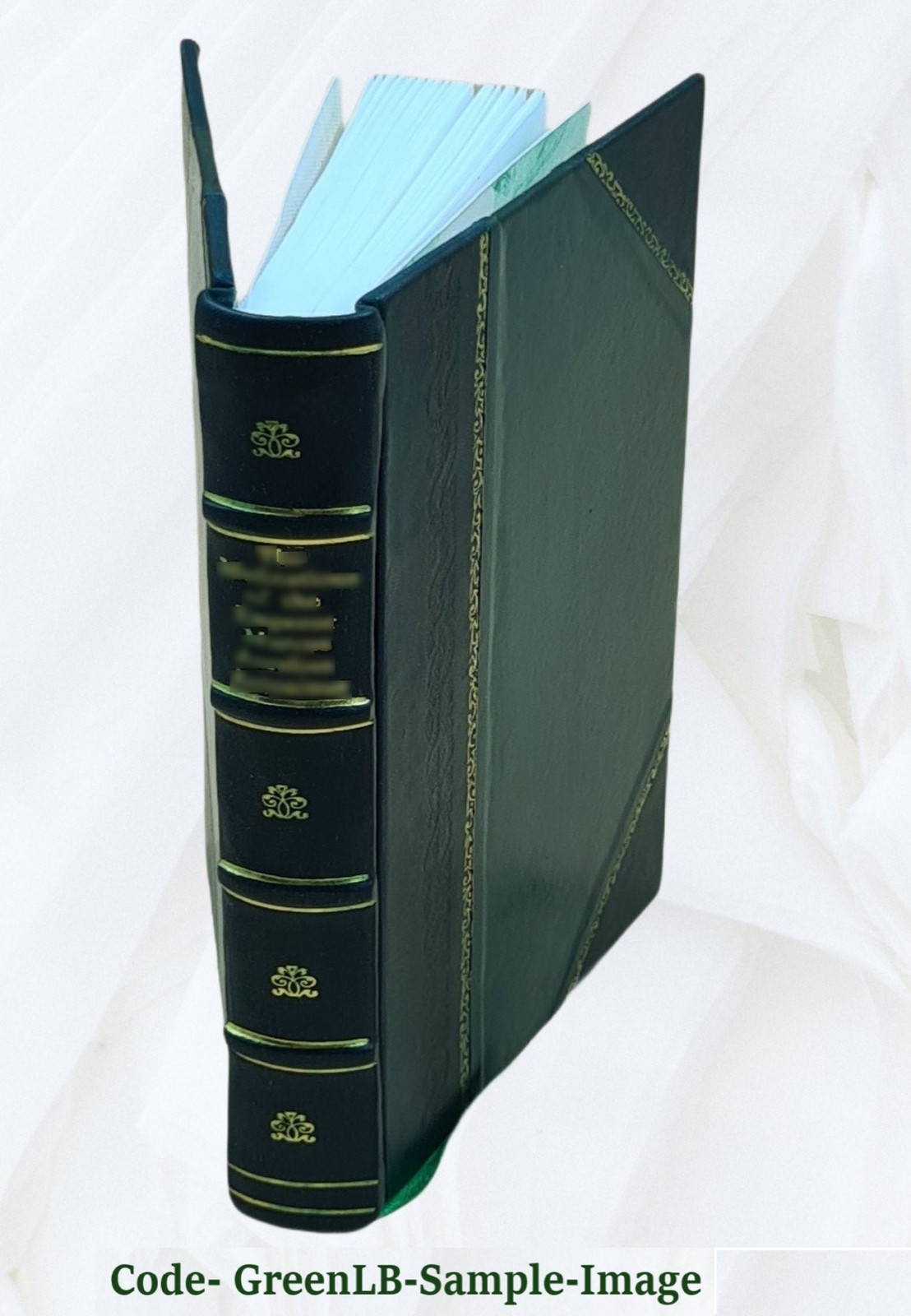 Enigmas Of Life. With A Prefatory Memoir 1891 [Leather Bound]
