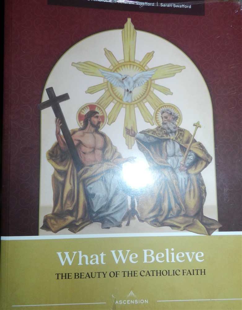 What We Believe The Beauty Of The Catholic Faith Marcellino D’Ambrosio Workbook!