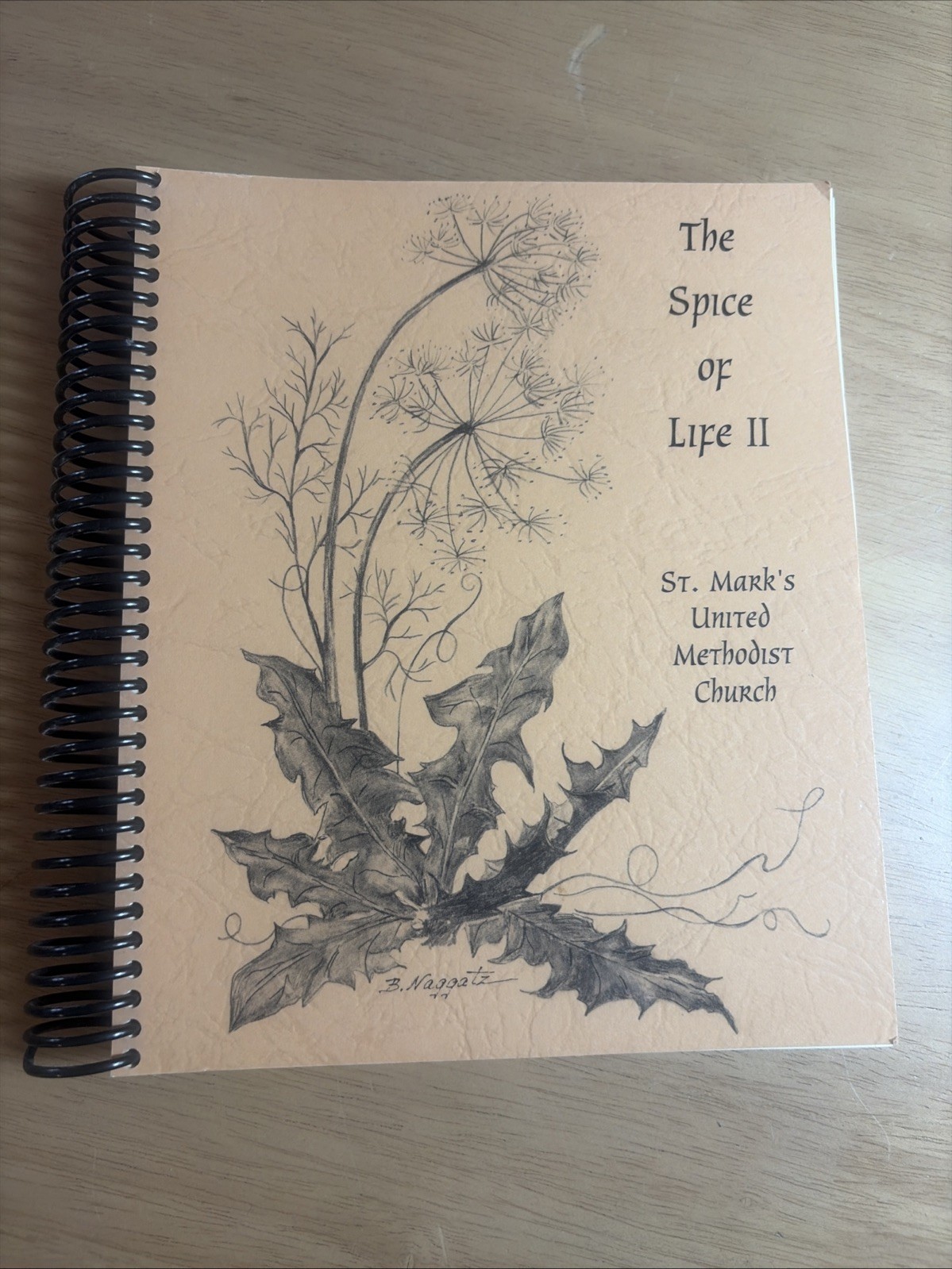 The Spice of Life II St. Mark’s United Methodist Church Cookbook 1997 Iowa City