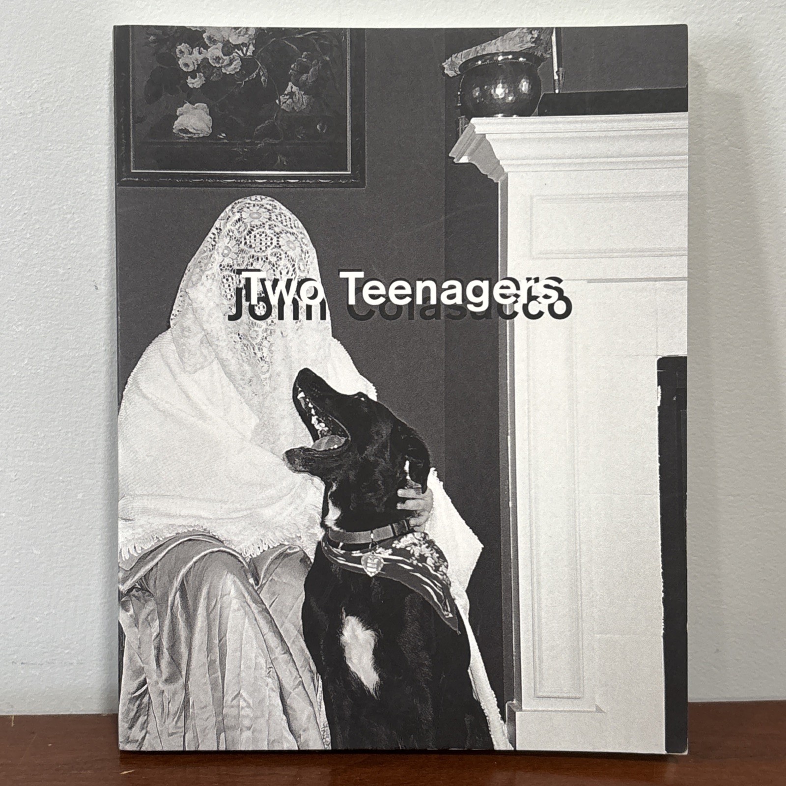 Two Teenagers by John Colasacco (2016, Horse Less Press) First edition