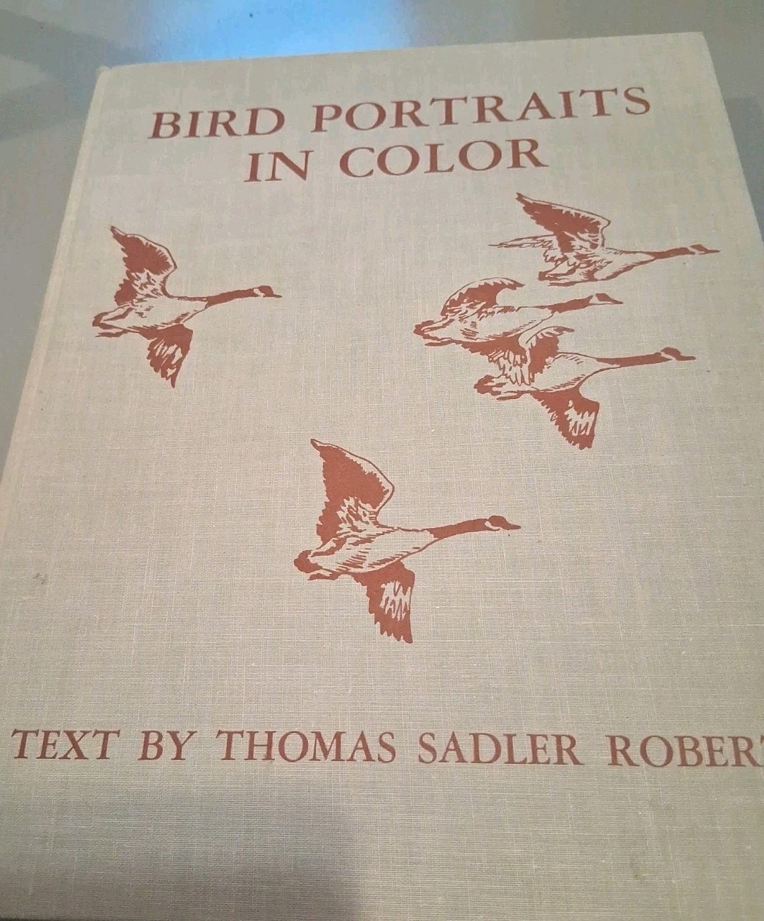 Bird Portraits In Color By Thomas Roberts And University Of Minnesota 1960