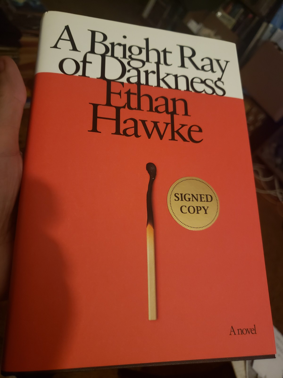 Signed A Bright Ray Of Darkness Ethan Hawke First Edition Hardcover