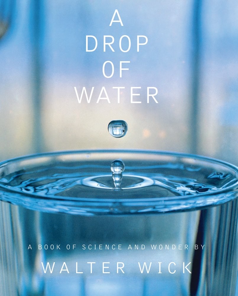 A Drop of Water: A Book of Science and Wonder – hardcover Wick, Walter