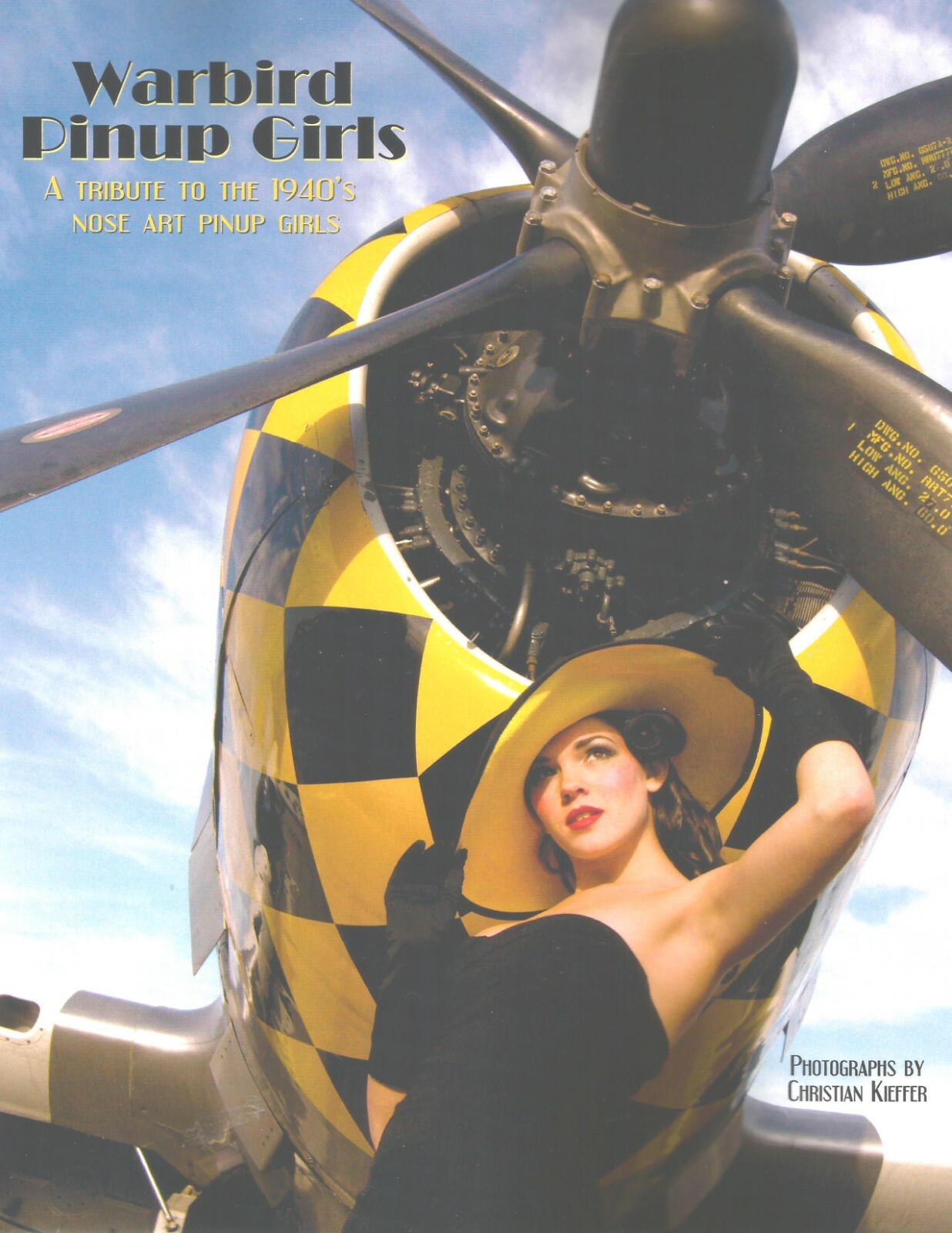 Warbird Pinup Girls