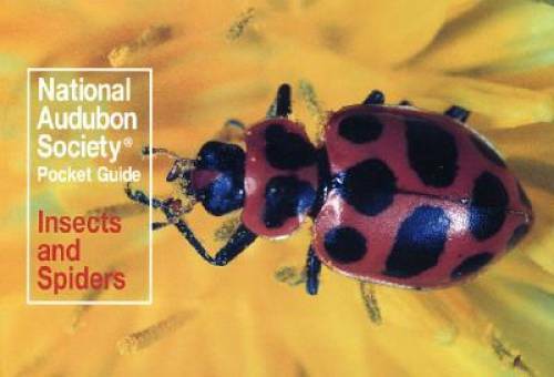 National Audubon Society Pocket Guide: Insects and Spiders (Audubon Socie – GOOD