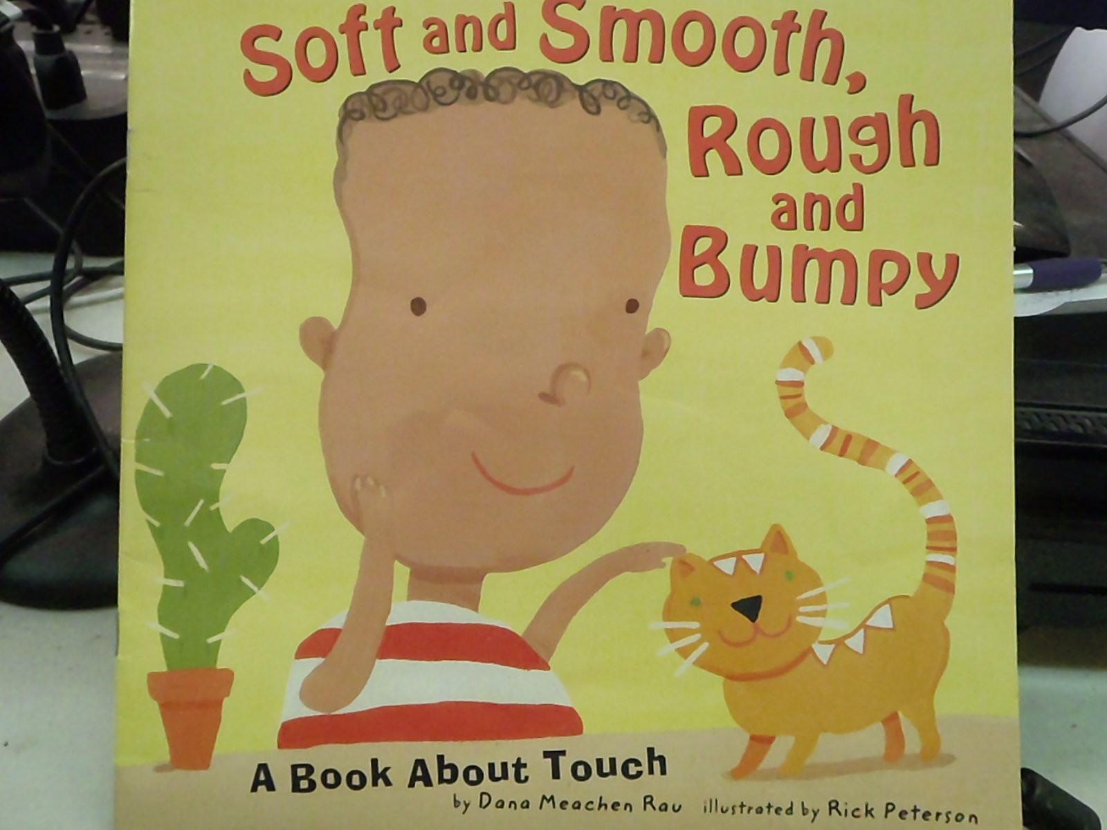Soft and Smooth, Rough and Bumpy [Scholastic]: A Book about Touch (Amazing B…