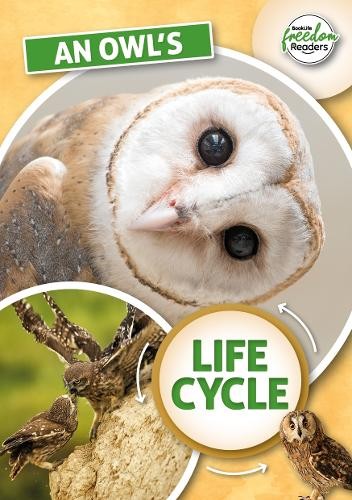 Madeline Tyler An Owl’s Life Cycle (Paperback) BookLife Freedom Readers