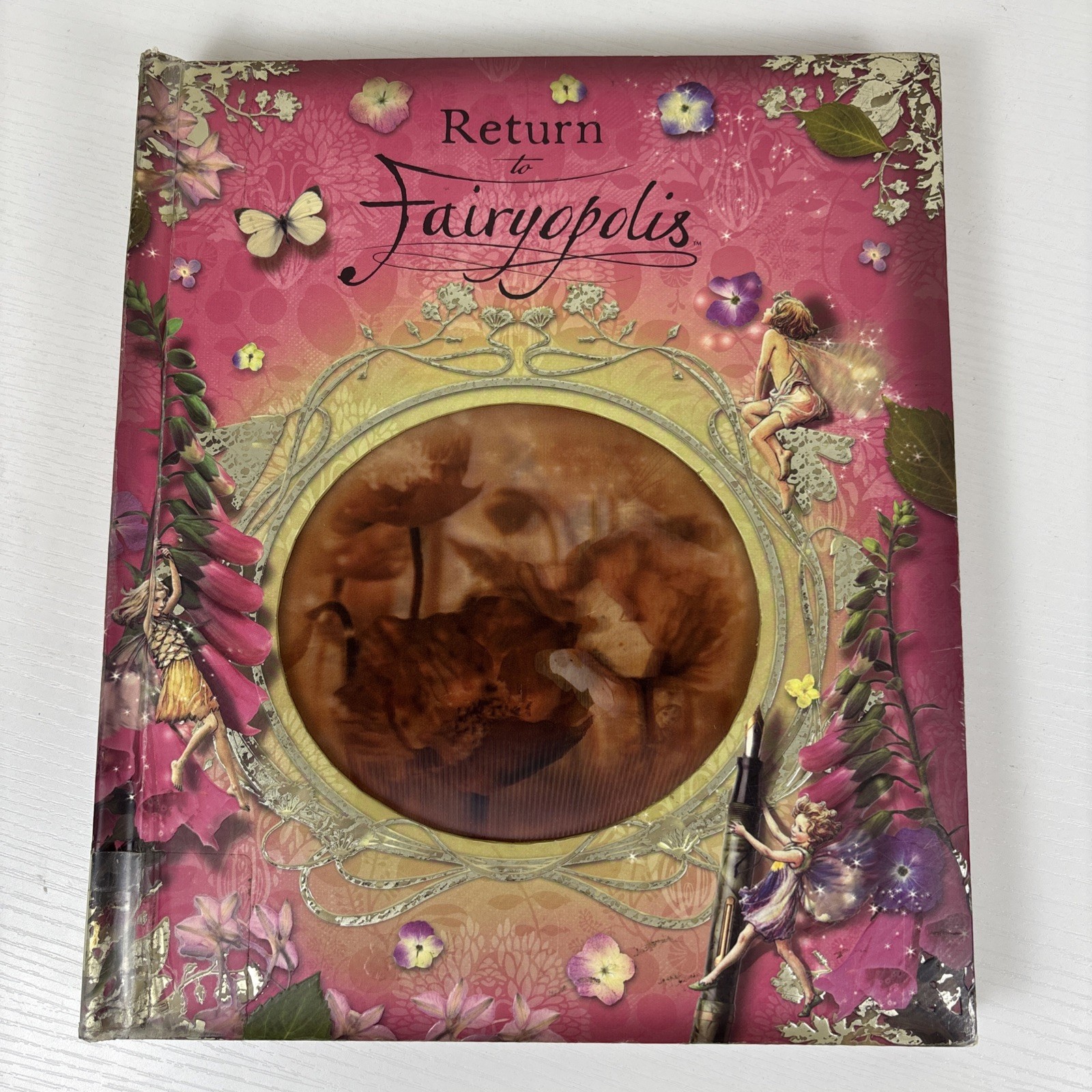 Return to Fairyopolis (Flower Fairies) – Hardcover By Cicely Mary Barker