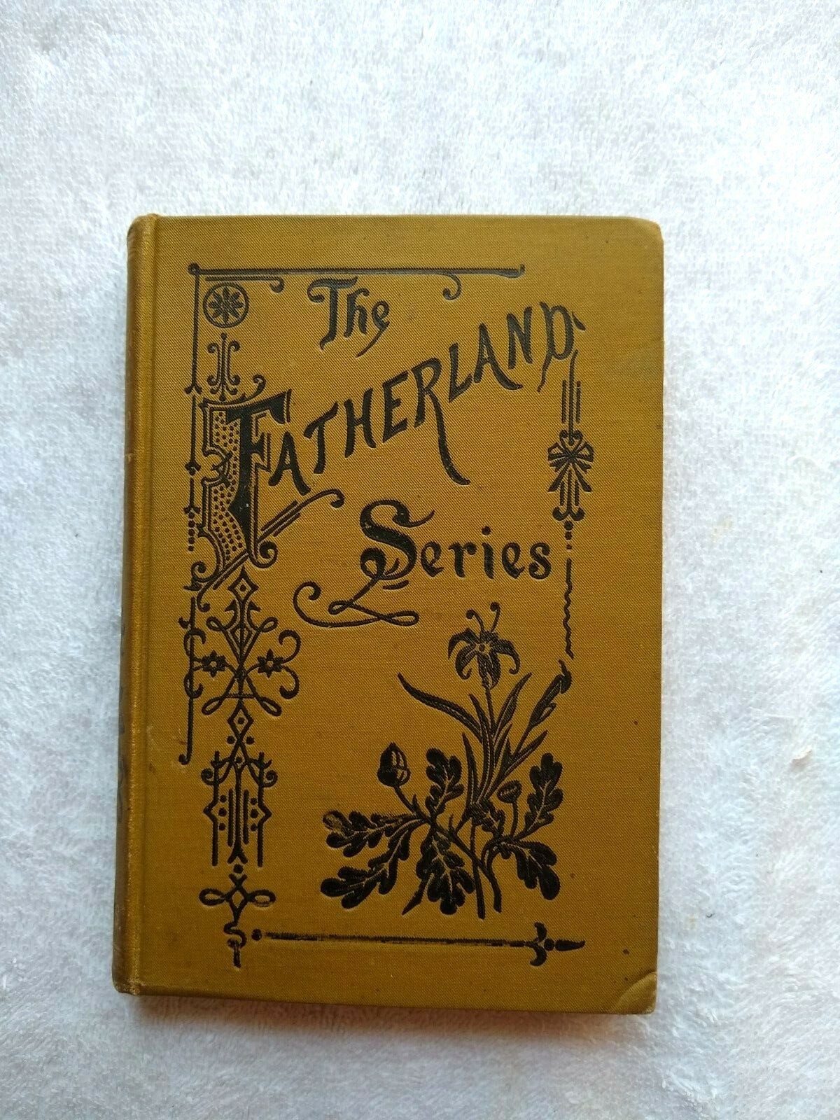 The Fatherland Series- Cottage By the Lake (HB, 1883) CHEAP SHIPPING
