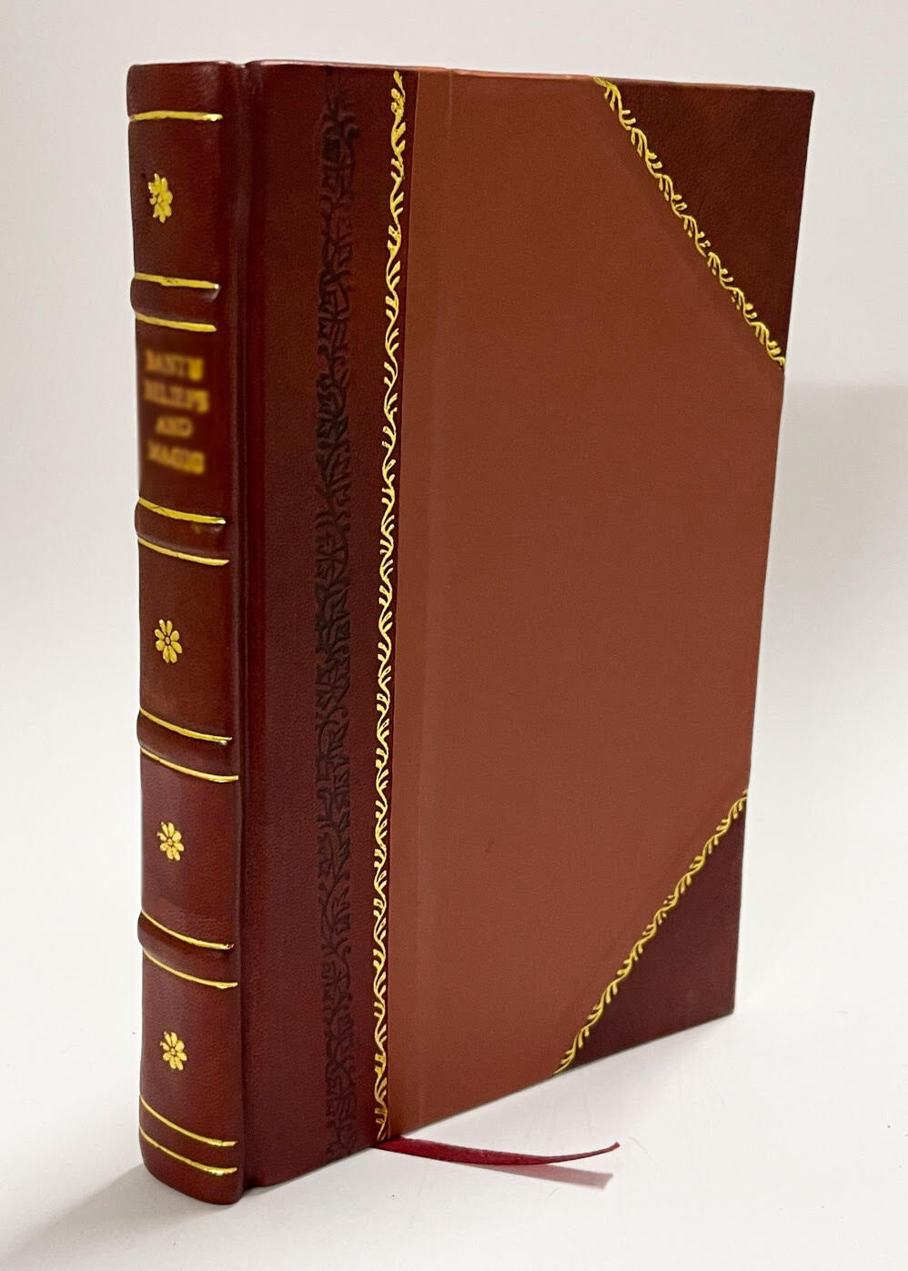 Tennis Topics and Tactics / F. W. Payn (1907) [Leather Bound]