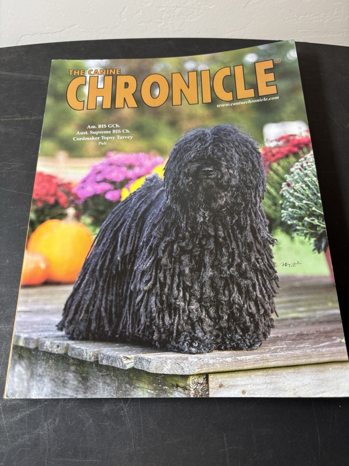 The Canine Chronicle Magazine October 2013 Dog Shows Pure Breds 376 Pages