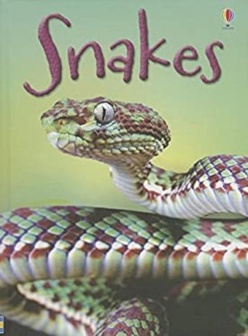 Snakes Hardcover James MacLaine