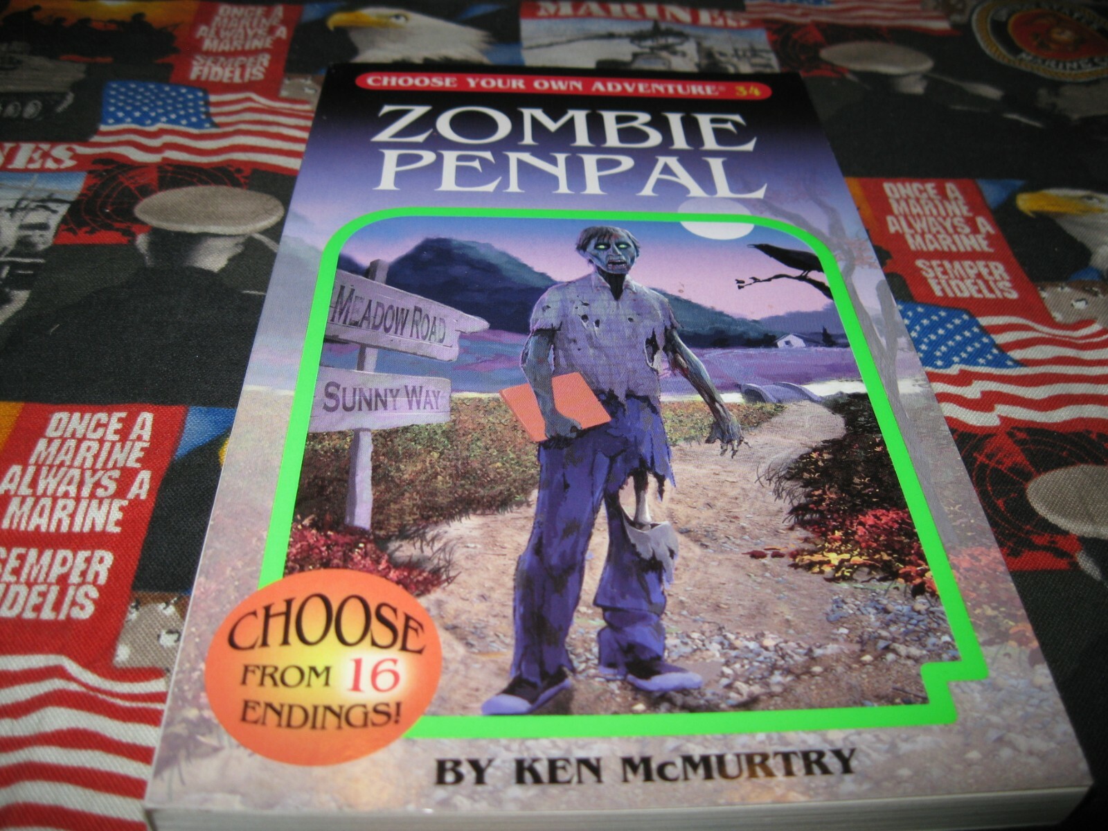 Zombie Penpal by Ken McMurtry ( cyoa )