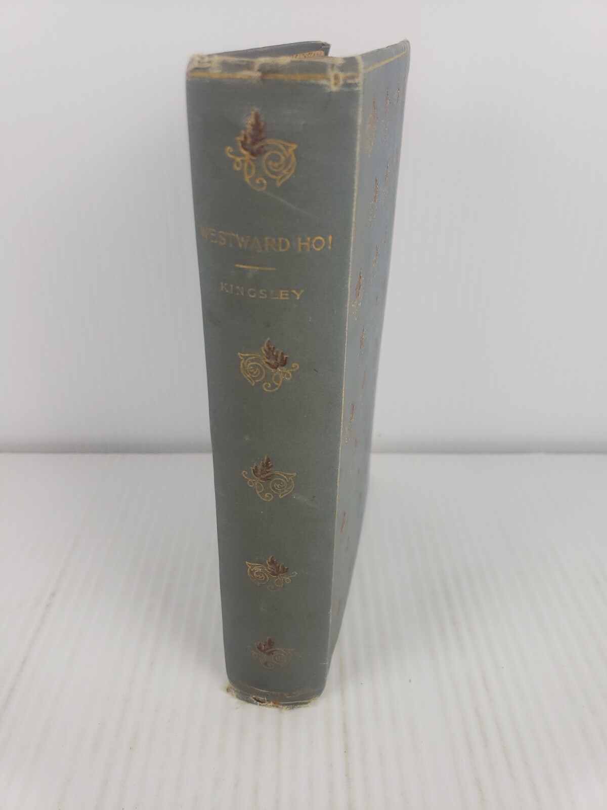 Westward Ho! by Charles Kingsley 1855 Rare