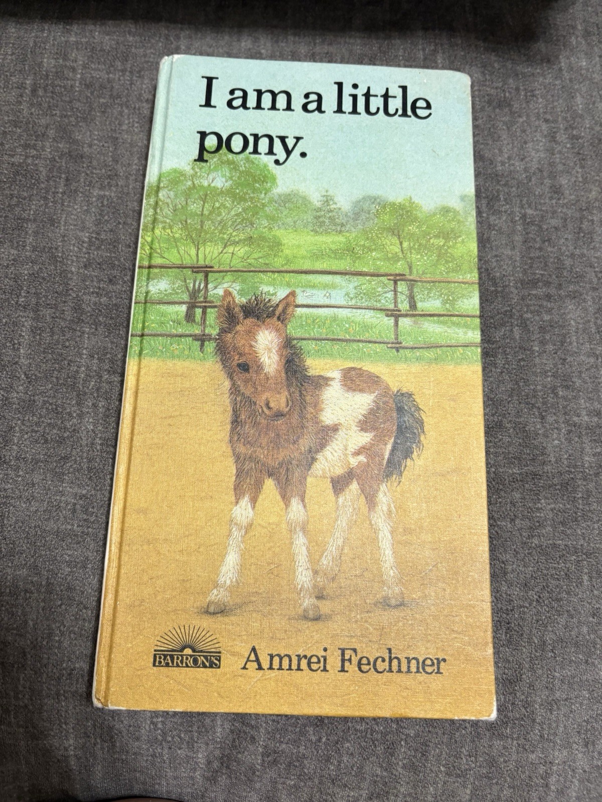 Barron’s I Am a Little Pony Amrei Fechner HC Illustrated Picture Book Ages 4-8