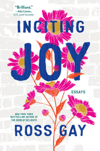 Inciting Joy: Essays – Hardcover By Gay, Ross – VERY GOOD