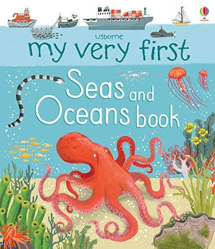 Usborne My Very First Seas and Oceans Book – Board book By Matthew Oldham – GOOD