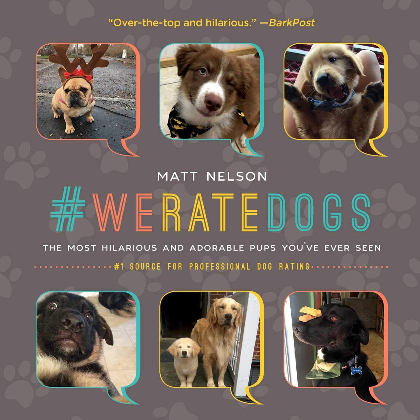 We rate dogs: The most adorable and hilarious pups you’ve ever seen