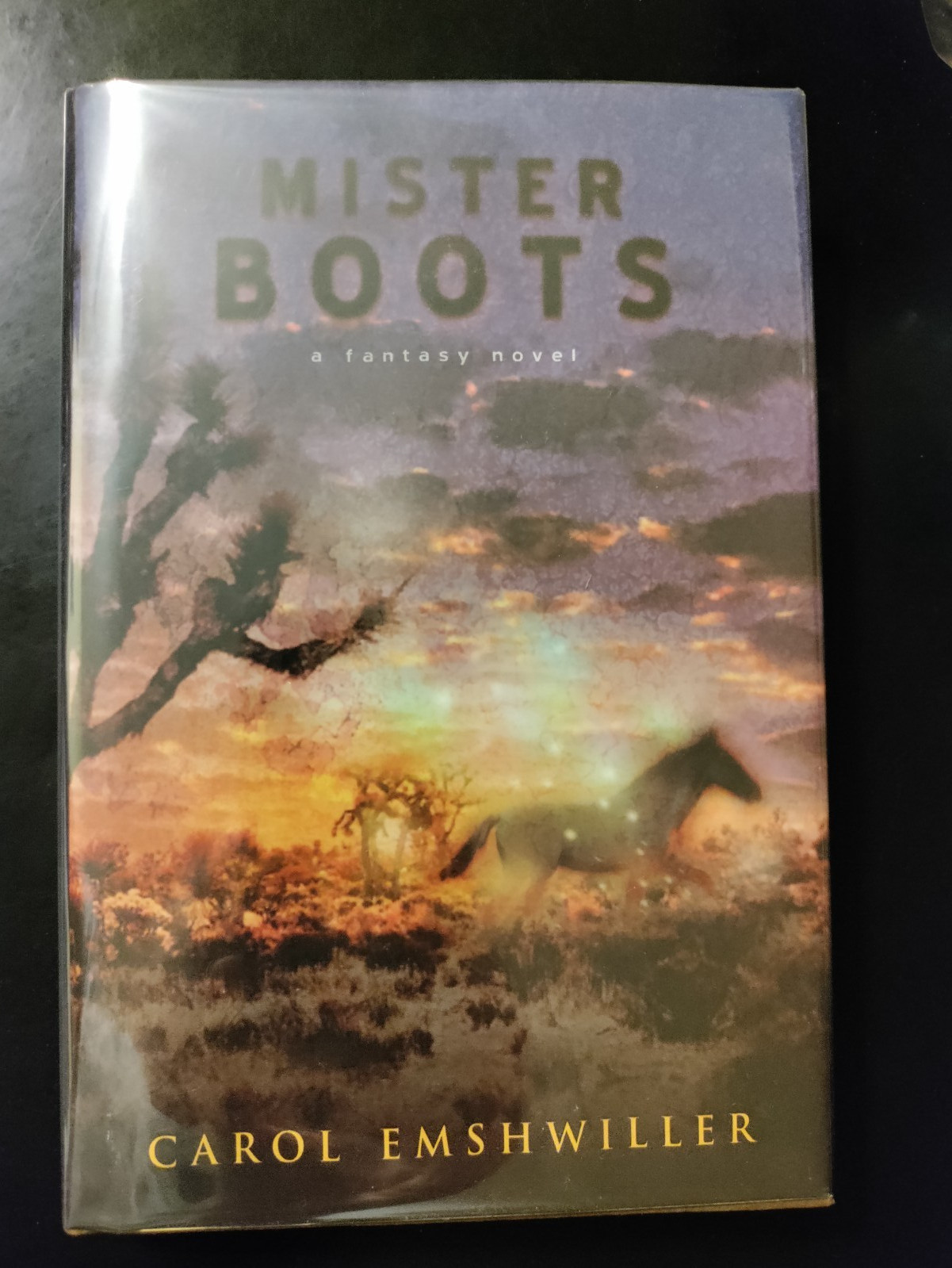 Mister Boots by Carol Emshwiller 2005 HCDJ First Edition/First Printing