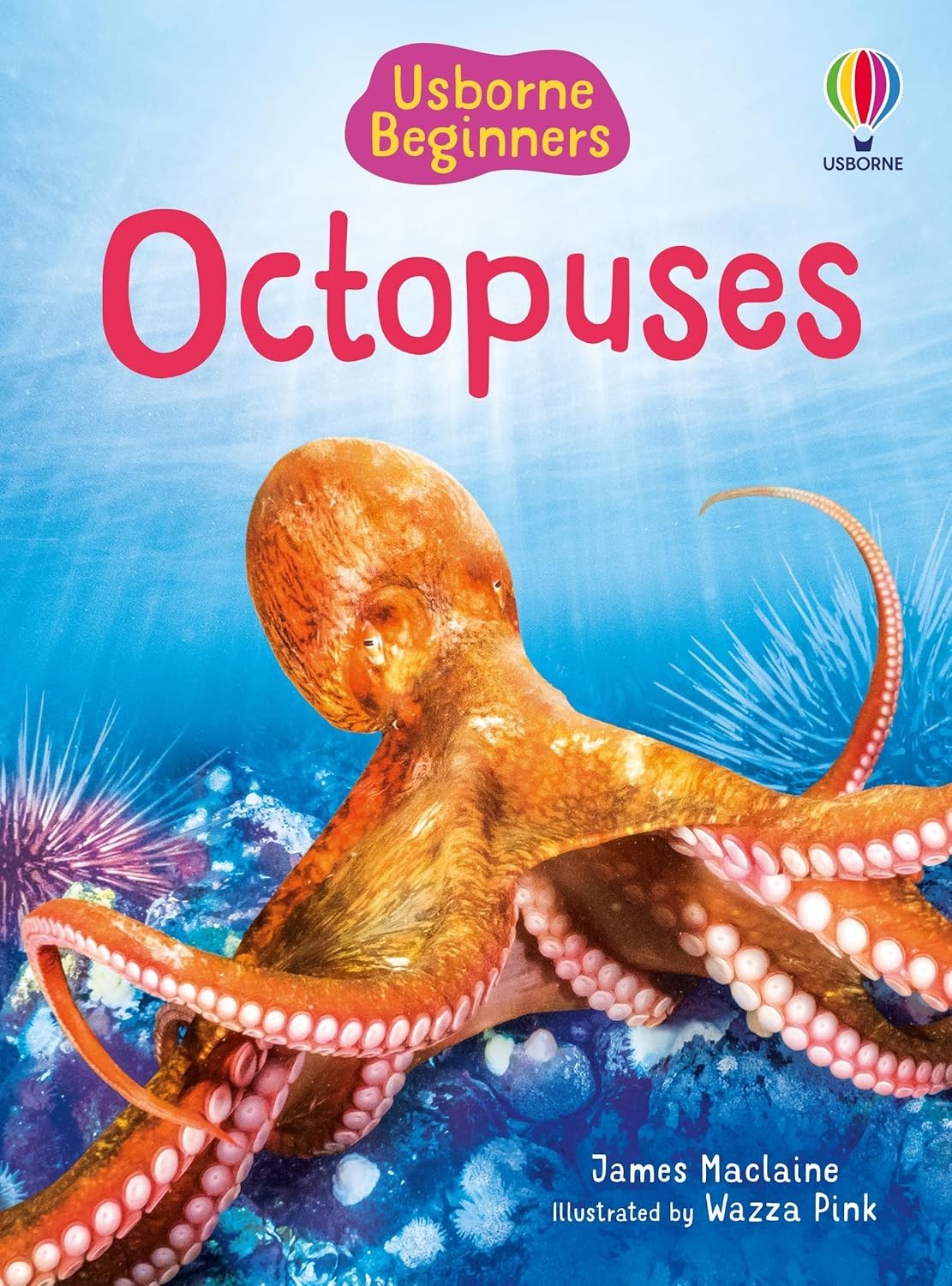 Beginners Octopuses Paperback by James MacLaine