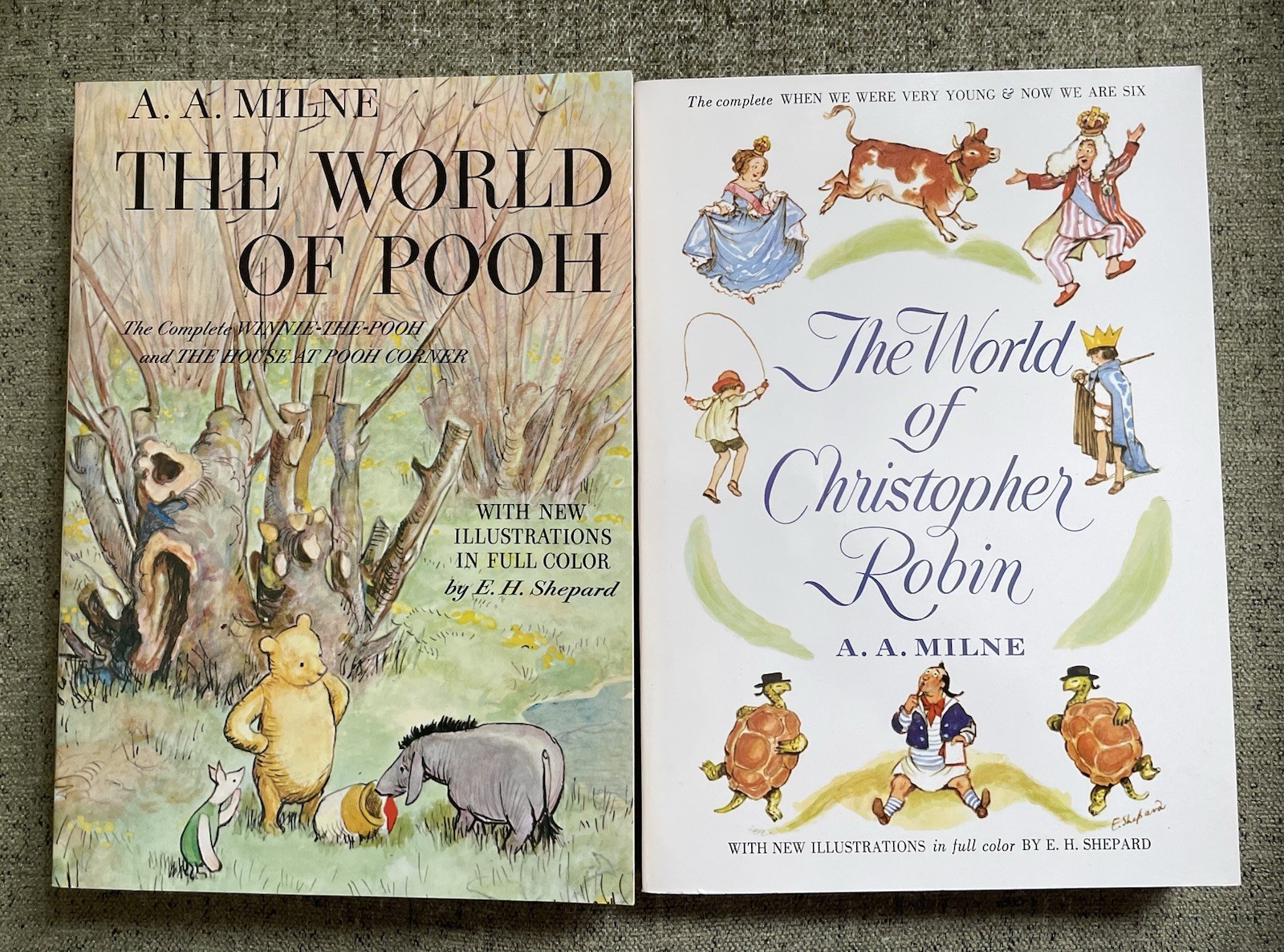 The World of Pooh & The World of Christopher Robin Softcover Books New