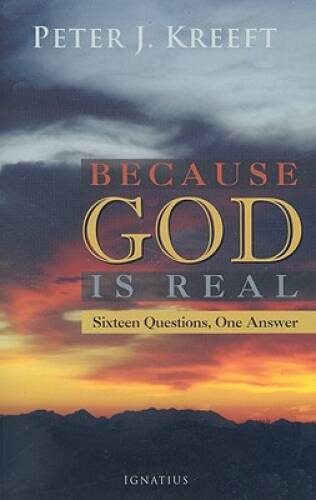 Because God is Real: Sixteen Questions, One Answer – Paperback – VERY GOOD