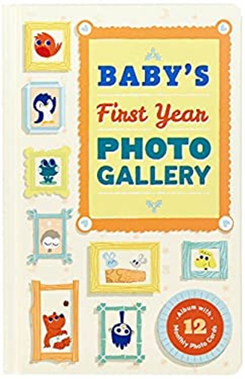 Baby’s First Year Photo Gallery : Album with 12 Monthly Photo Car