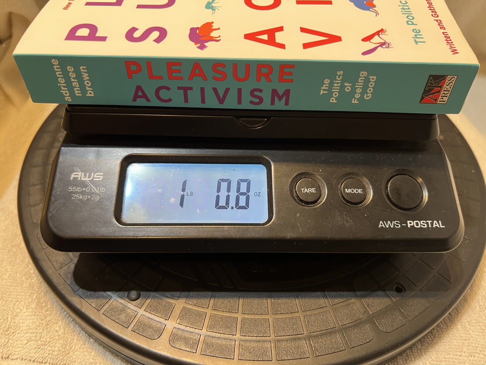 Pleasure Activism : The Politics of Feeling Good – GUC