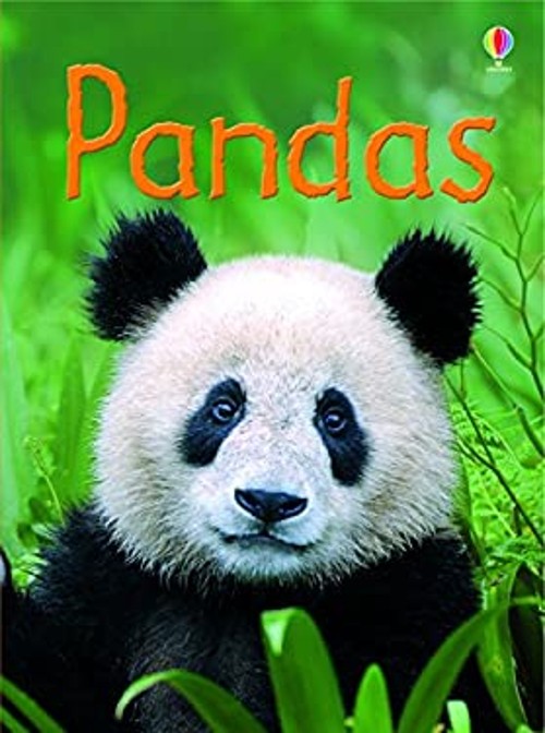 Pandas Hardcover James Maclaine