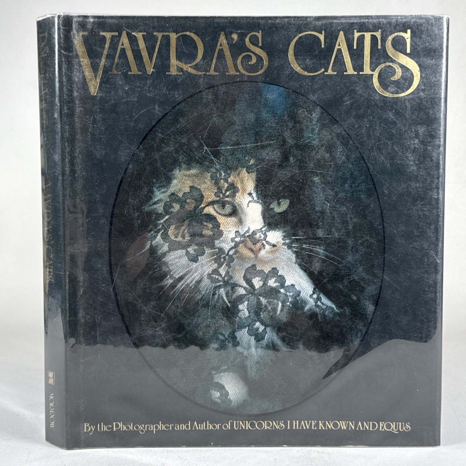 Vavras Cats Robert Vavra Photography Signed 1986 1st Ed Hardcover DJ