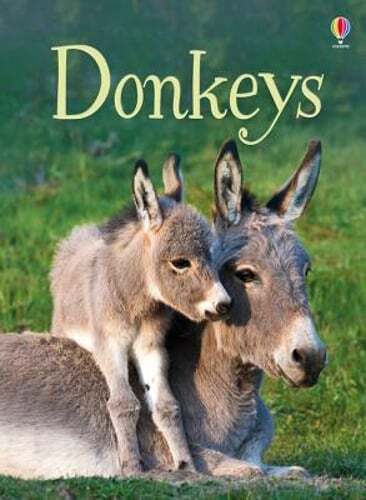 Donkeys by James Maclaine: New