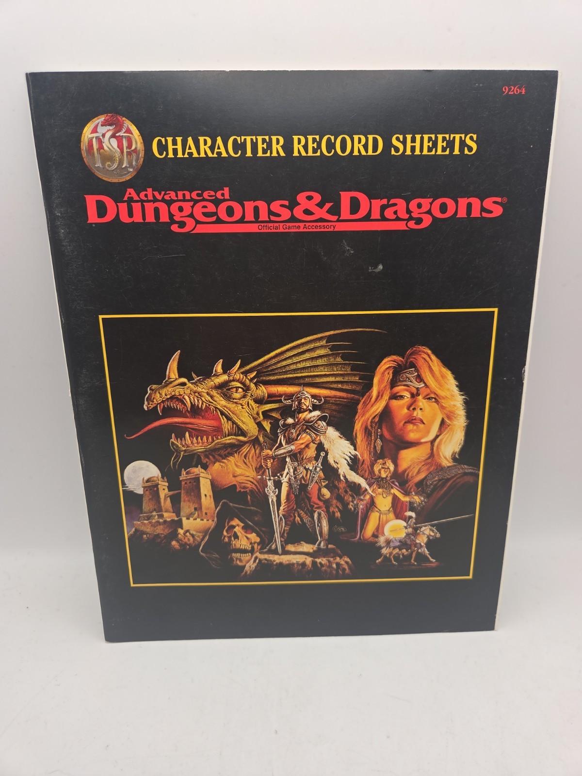 CHARACTER RECORD SHEETS (Advanced Dungeons and Dragons 2nd Edition Some Writing
