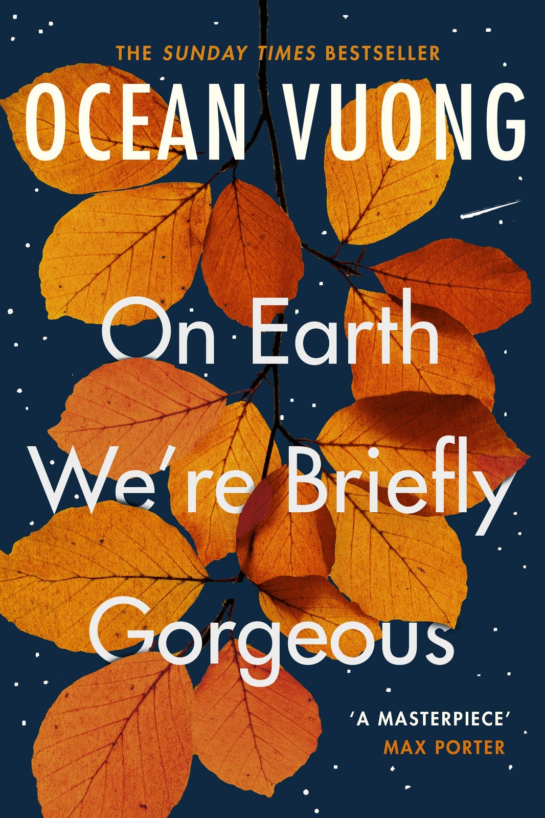 Ocean Vuong On Earth We’re Briefly Gorgeous /anglais