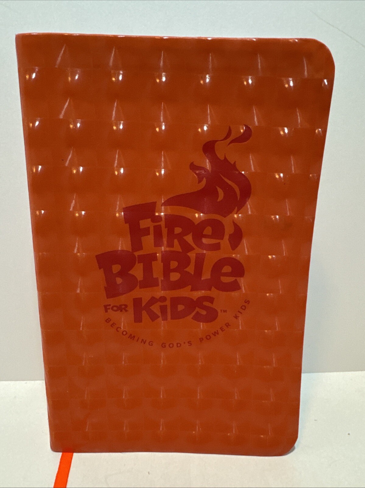Holy Bible: New International Version, Fire Bible for Kids, Flex Cover Flexi…