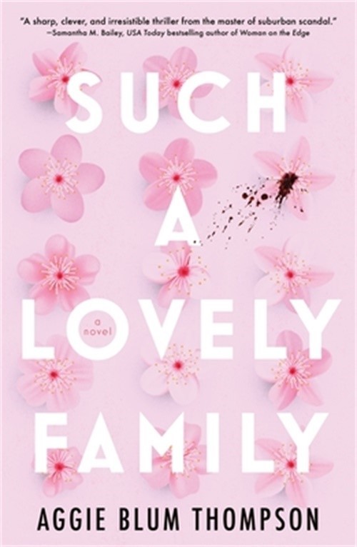 Such a Lovely Family (Paperback or Softback)