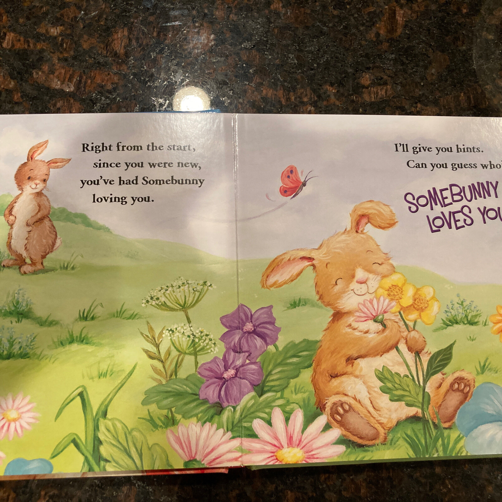 Somebunny Loves You! by Melinda Rumbaugh (2019, Children’s Board Books)