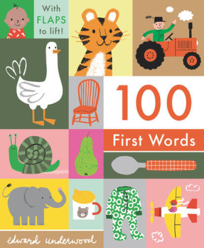 100 First Words – Board book By Nosy Crow – GOOD