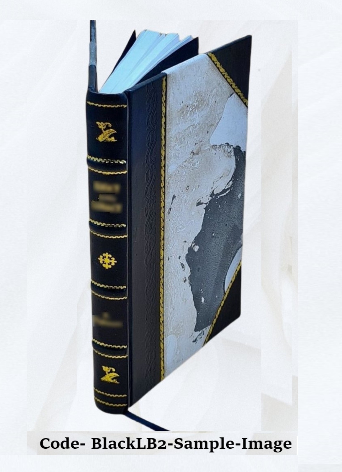 Enigmas Of Life. With A Prefatory Memoir 1891 [Leather Bound]