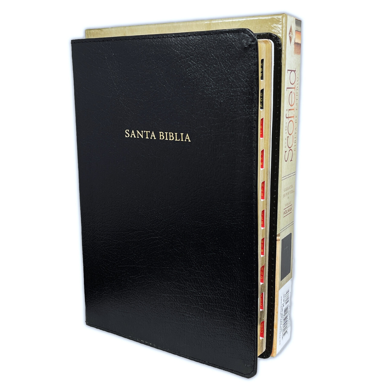 Biblia Scofield de Estudio Pastoral Reina Valera 1960 piel negro con indice