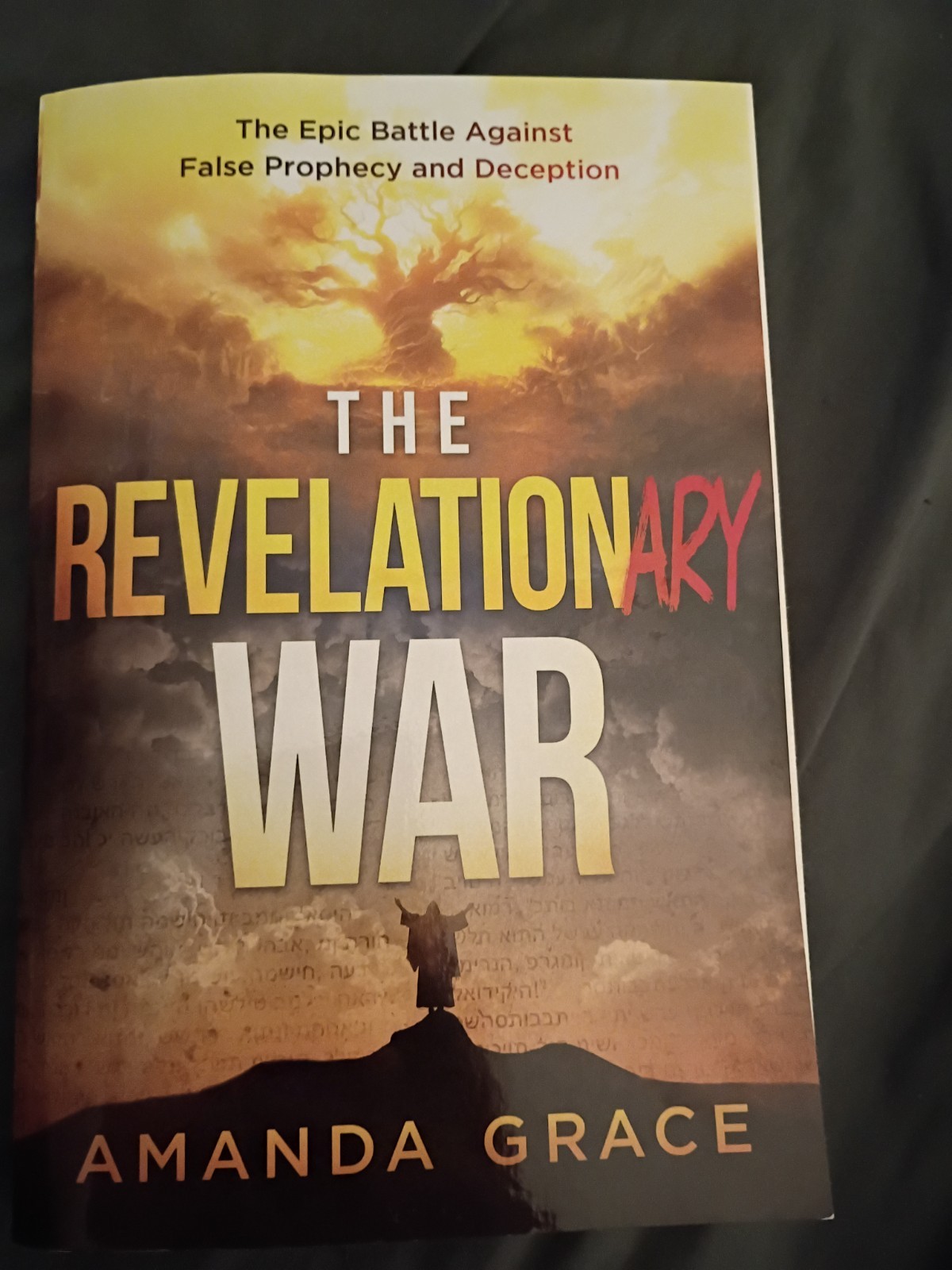 The Revelationary War: The Epic Battle…, Amanda Grace