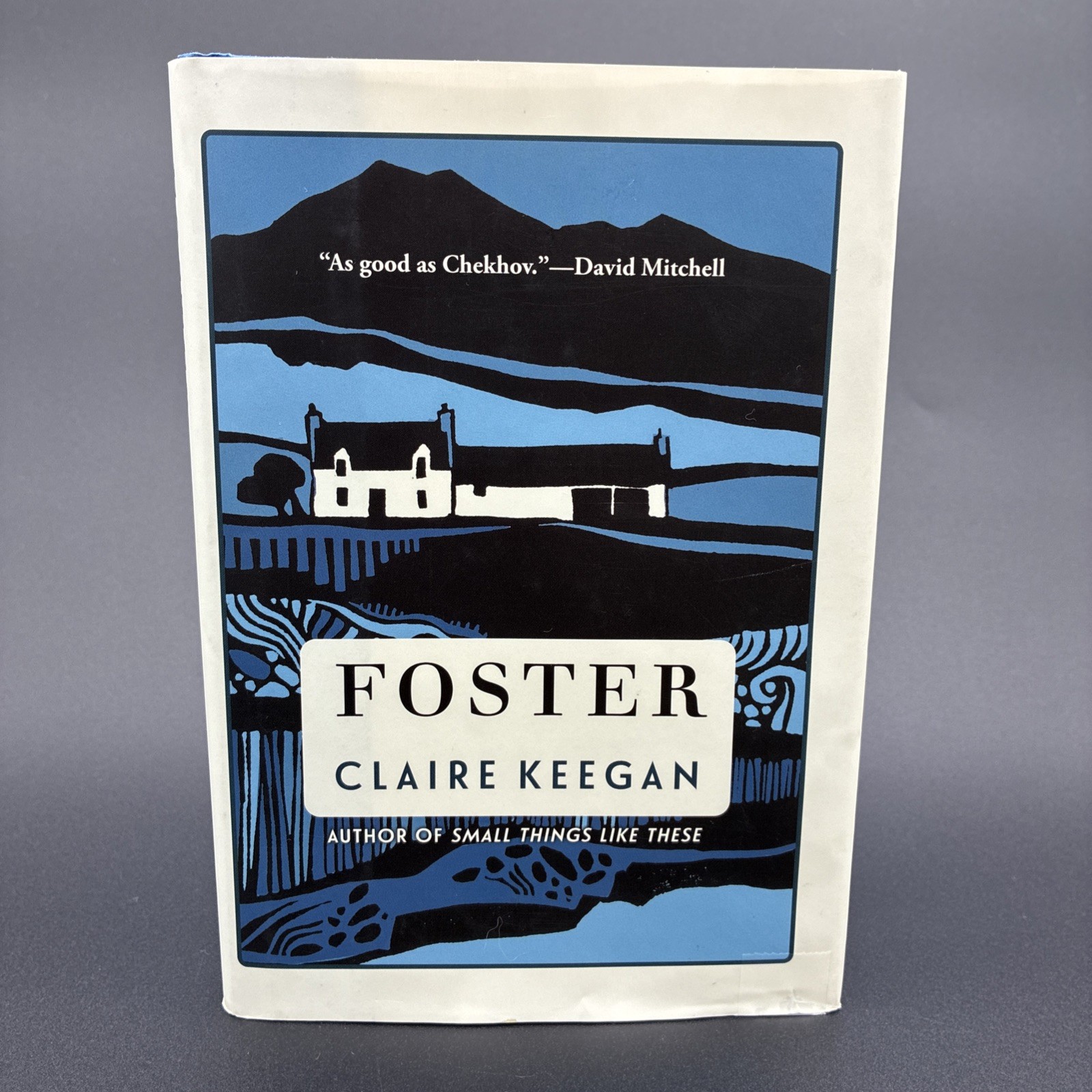 Foster by Claire Keegan Paperback Novel Fiction Book