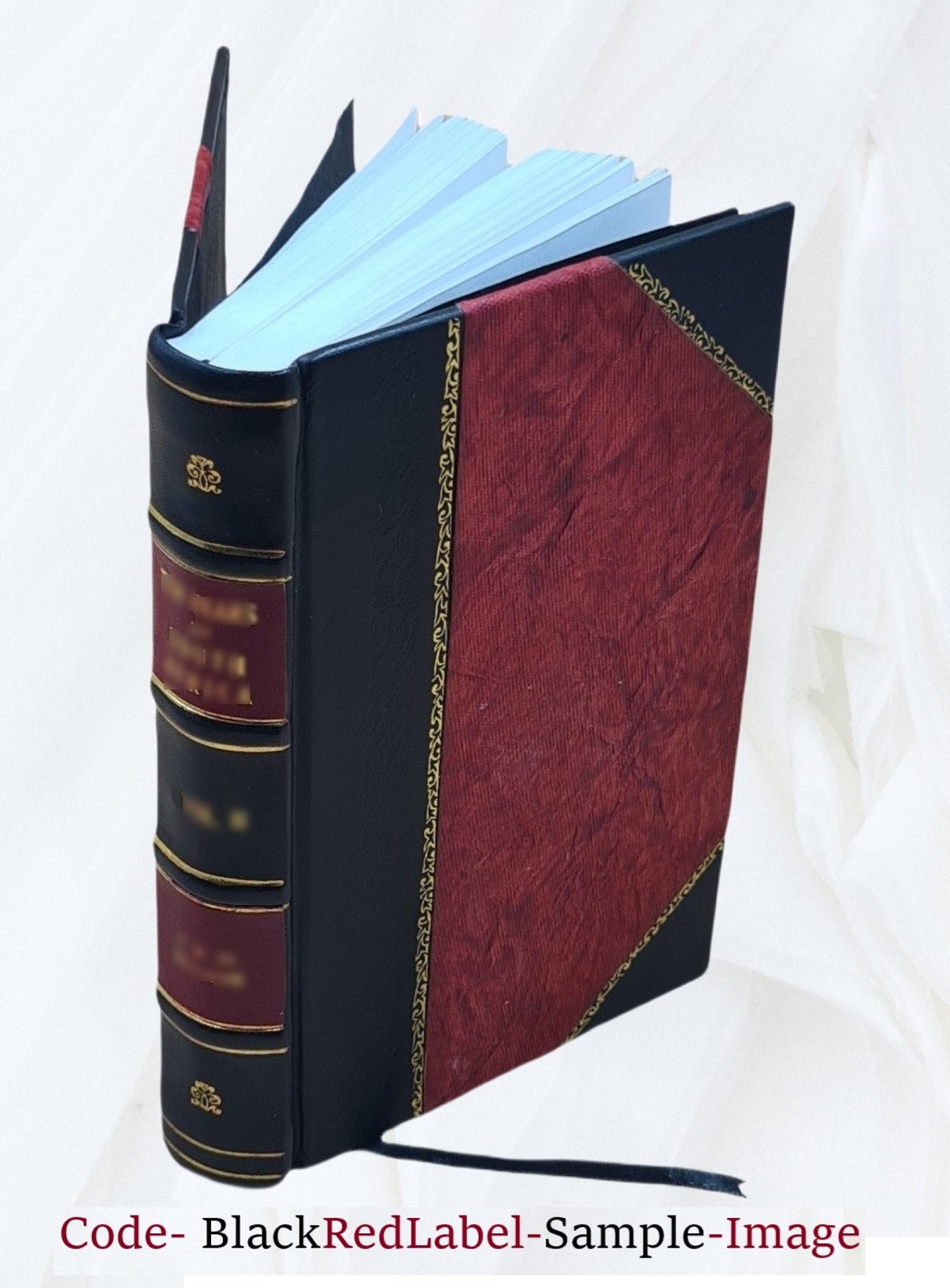 Enigmas Of Life. With A Prefatory Memoir 1891 [Leather Bound]