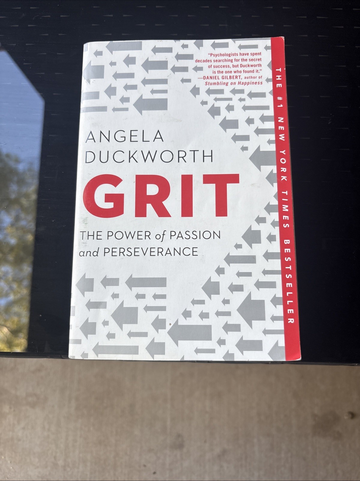 Grit : The Power of Passion and Perseverance by Angela Duckworth
